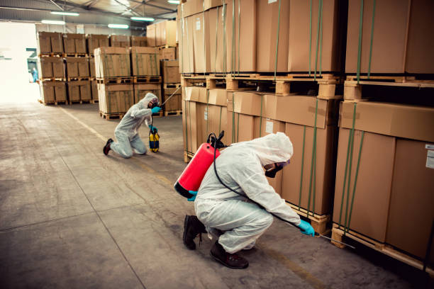 Best Rat Extermination Near Me  in Cooper City, FL