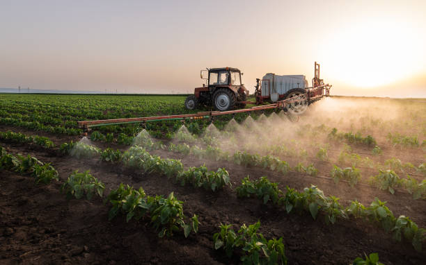 Best Mosquito Control Services  in Cooper City, FL
