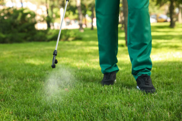 Best Spider Control Near Me  in Cooper City, FL