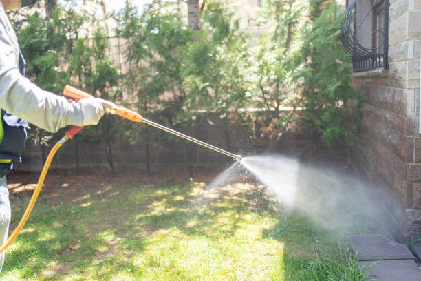 Professional Pest Control in Cooper City, FL