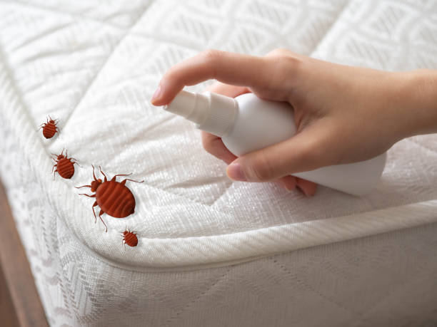 Pest Control Cost in Cooper City, FL