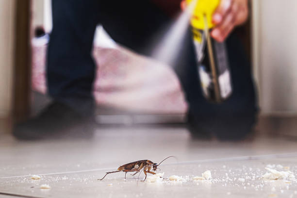 Best Pest Prevention Services  in Cooper City, FL