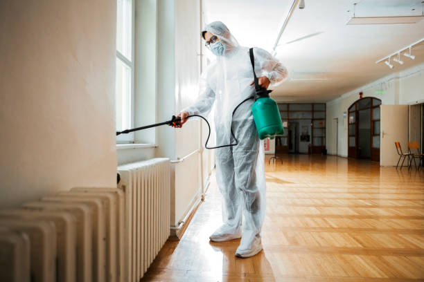Best Flea Control Services  in Cooper City, FL