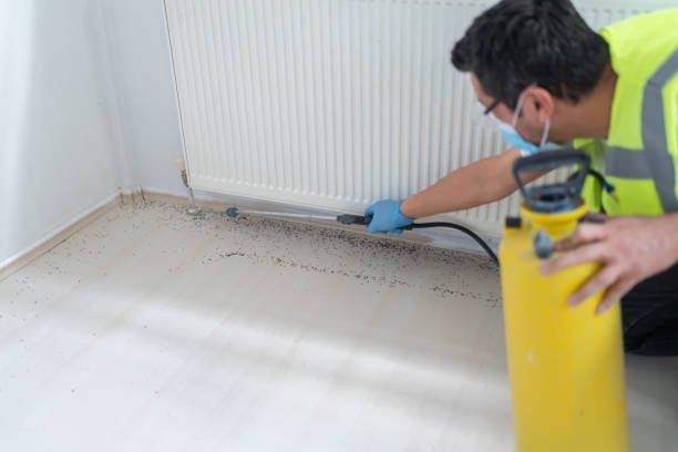 Best Ant Control Services  in Cooper City, FL